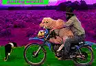 Picture for song 'Going south' by artist 'yaka'