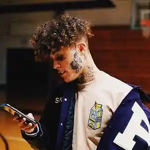 Picture for song 'TYPE BEAT LIL SKIES "NUMBERS"' by artist '6ideblue'