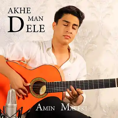 Picture for song 'Akhe Dele Man' by artist 'Amin Maleki'