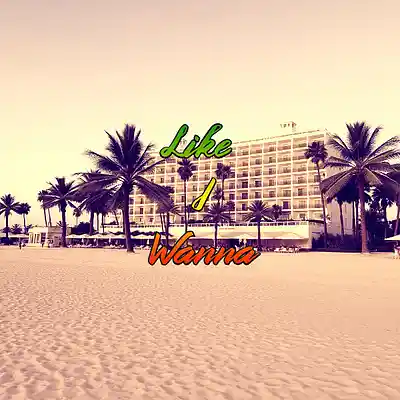 Picture for song 'Like I Wanna' by artist 'Anac On The Beat'