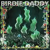 Picture for song '7e Advent (Vintertrotta VaecksAvStark Vaersol RMX)' by artist 'Birdie Daddy'