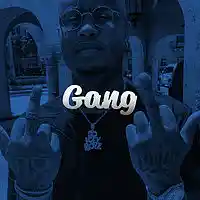 Picture for song 'Gang (SOLD)' by artist 'Foreign Made It'