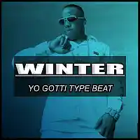 Picture for song 'Winter / Yo Gotti Type Beat' by artist 'Hitplaybeats'