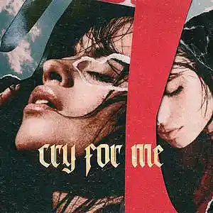 Picture for song 'Cry For Me' by artist 'Kontrabandz'