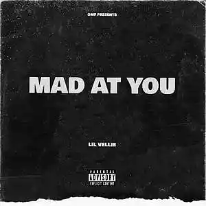 Picture for song 'Mad at You' by artist 'Lil Vellie'