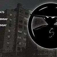 Picture for song 'Hoppin FenceS Prod By SenSay' by artist 'Sensay'