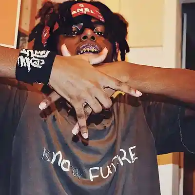 Picture for song 'Dark Trippie Redd x Travis Scott Type Beat' by artist 'syobangz'