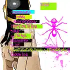 Picture for song 'Photograph' by artist 'Talib Rox'