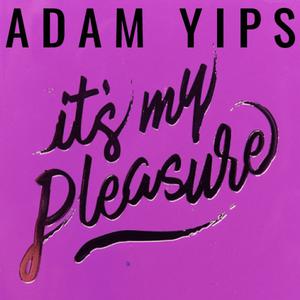 Picture for song 'Listen (Stop Talking Remix)' by artist 'Adam Yips'