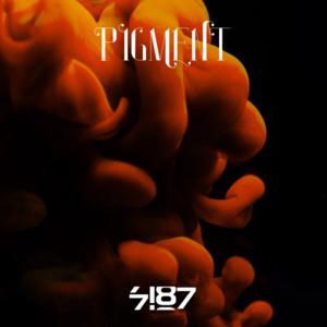 Picture for song 'Pigment' by artist '7187'