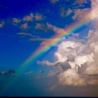 Picture for song 'Over the Rainbow' by artist 'Ucancallmeal'