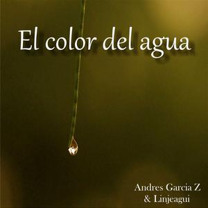 Picture for song '05 UN SUEÑO' by artist 'Andres Garcia Z'