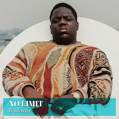 Picture for song 'NO LIMIT *SOULFUL FREESTYLE Melodic Jazz Sample' by artist 'Big Bro Beats'