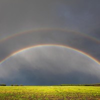 Picture for song 'Solid Ground' by artist 'D B Hankinster'