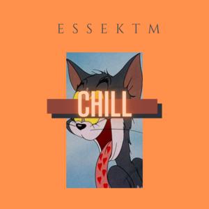 Picture for song 'Chill and Beer' by artist 'Essektm'
