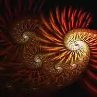 Picture for song 'LSD' by artist 'Fiery Dawn'