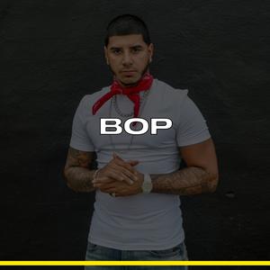 Picture for song 'BOP' by artist 'Flash Casino'