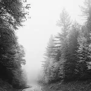 Picture for song 'Whispering Willow (80bpm, G# min)' by artist 'HappyFace'