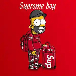 Picture for song 'Supreme boy' by artist 'HiroRyuu'