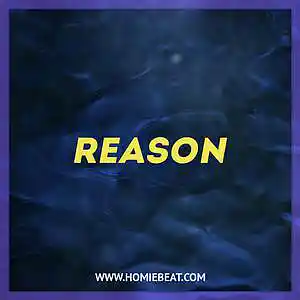 Picture for song 'Reason' by artist 'Homiebeat'