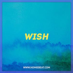 Picture for song 'Wish' by artist 'Homiebeat'