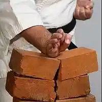 Picture for song 'TAK 42 Break a Brick' by artist 'Jammer59'