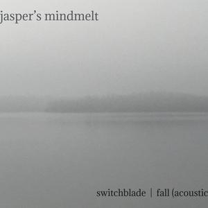 Picture for song 'jasper's mindmelt - fall (acoustic)' by artist 'jasper's mindmelt'