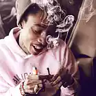 Picture for song '(NEW) Dank Sinatra' by artist 'LEXI BANKS'