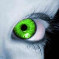 Picture for song 'Jealousy - Brandi Thompson' by artist 'Order Of Chaos'