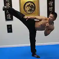 Picture for song 'A Beautiful World' by artist 'Sifu Freddie Lee'