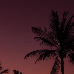 Picture for song 'BL' by artist 'XMinnd'