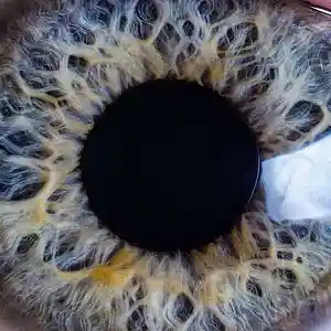 Picture for song 'Oeil du ghetto' by artist 'EVER EST BEATS'