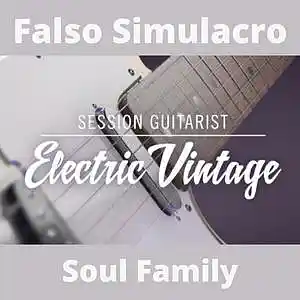 Picture for song 'Soul Family - Electric Vintage - Metapop Remix Con' by artist 'Falso Simulacro'