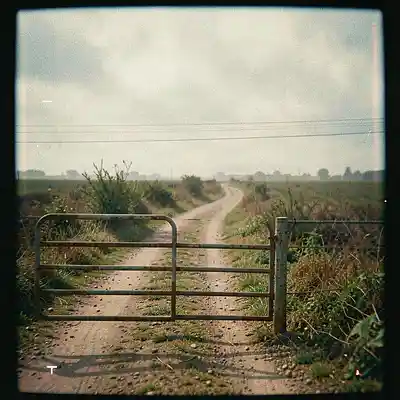 Picture for song 'Scufflegrit Road' by artist 'Friscic - McIntyre songs'