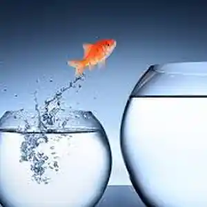 Picture for song 'Them Changes' by artist 'hibeamz'