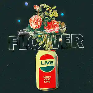 Picture for song 'Flower (Buy 1 Get 4 Free)' by artist 'Lonz Kid'
