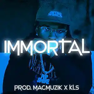 Picture for song 'IMMORTAL' by artist 'MacMuzik'