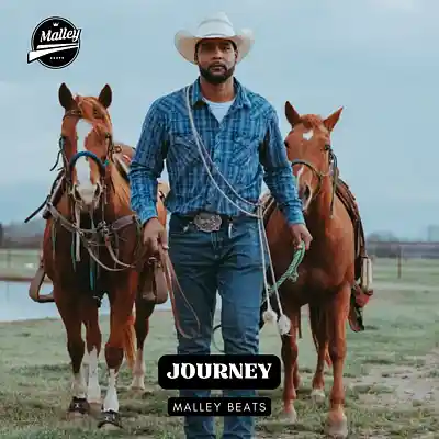 Picture for song 'JOURNEY [EMO COUNTRY RAP TYPE BEAT]' by artist 'Malley Beats'