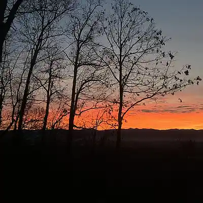 Picture for song 'Mi Amor' by artist 'Universal Momma Bear'