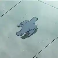 Picture for song 'Pigeon ' by artist 'Nick Vanelli'