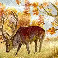 Picture for song 'As The Deer' by artist 'Praise His Ways'