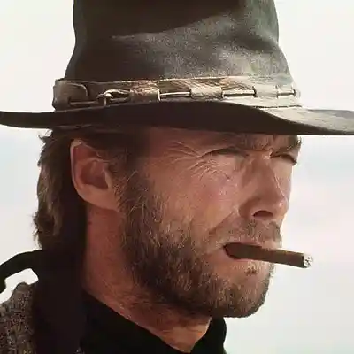 Picture for song 'High Plains Drifter Theme' by artist 'Previous Signs of Decay'