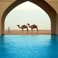 Picture for song 'The lake' by artist 'Inim Productions'