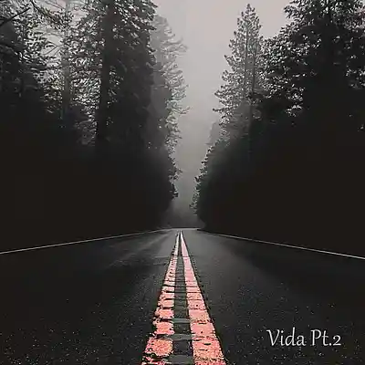 Picture for song 'Vida Pt.2 (Instrumental)' by artist 'Joni Rocha Beatz Official'