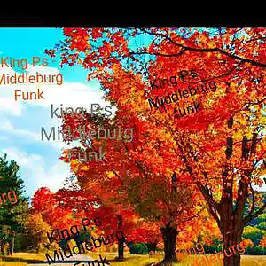 Picture for song 'king P.S - Middleburg funk' by artist 'King P.s'