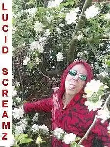 Picture for song 'let it all hang out baby' by artist 'lucidscreamz'
