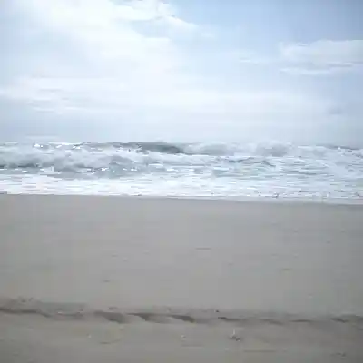 Picture for song 'Leaving' by artist 'Leonard Scaper'