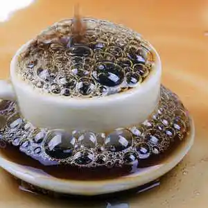 Picture for song 'Burnt Coffee' by artist 'Pete Moss and the Weed Wackers'