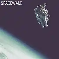 Picture for song 'Spacewalk' by artist 'Space Pirate'