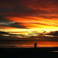 Picture for song 'Together at Dawn' by artist 'swerve tweeter'